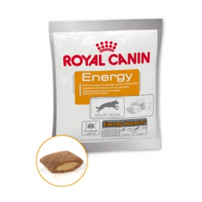 Royal Canin Energy (Роял Канін) 50г-ласощі для собак