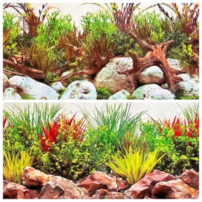 Фон для акваріуму двобічний Coastalhues/Crispriver, 30х15 м