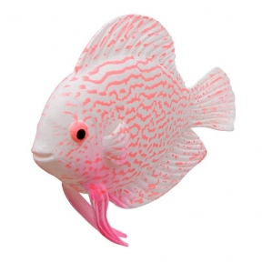 Рибка силіконова 7 см CL0018