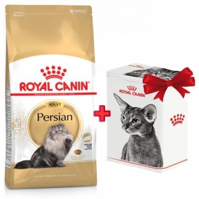 Акция Сухой корм Royal Canin Persian Adult 2кг + Контейнер в подарок