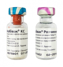 Нобівак КС-вакцина проти бордетельозу і парагрипу собак
