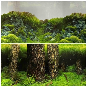 Двосторонній фон 30*15 м.