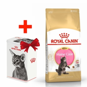 Акція сухий корм Royal Canin Mainecoon Kitten 2кг + контейнер-корм для кошенят породи Мейн-кун