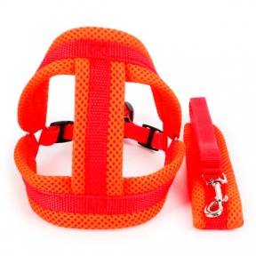 Шлея сетка и поводок, М (4*38-48/120 см)