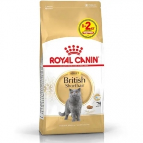 АКЦІЯ Royal Canin British Shorthair Adult Сухий корм для британських короткошерстих котів 8+2 кг