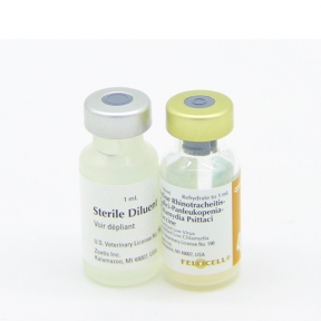 Фелоцел РСНСh — вакцина с хламидиозом, без бешенства