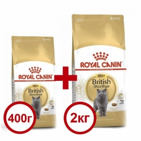 Акция Сухой корм Royal Canin British Shorthair 2кг + 400г в подарок