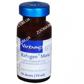 Рабиген — вакцина против бешенства