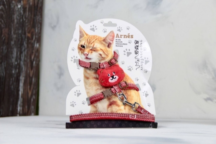 Комплект Котик, шлея з повідцем для кішки Червона