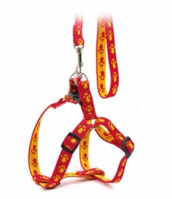 Комплект Franty Style Paw нейлон Желто-красный 16мм/32-42/33-52 см.