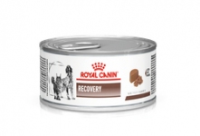 Royal Canin Recovery (Роял Канин Рекавери) консервы для собак и кошек 195 г
