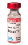 Биокан R — вакцина против бешенства для собак, Bioveta