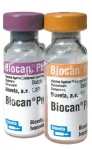 Биокан Рuppy (Паппи) вакцина для собак, Bioveta