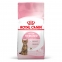 Royal Canin Kitten Sterilised для стерилизованных котят от 6 до 12 мес
