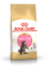 Royal Canin Kitten Maincoon для котят Мэйн-кун от 4-15 мес