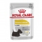Royal Canin Dermacomfort Loaf CCN консервы для собак 85г