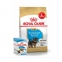 АКЦИЯ Royal Canin Yorkshire Puppy Набор корма корма для щенков йоркширский терьер 1,5 кг+ 4 паучи