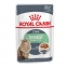 Royal Canin Digestive Sensitive (Роял Канін) для кішок з чутливим травленням, 85 г