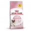 АКЦИЯ Royal Canin Mother&babycat сухой корм для котят и кошек в период лактации 8+2 кг