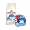 АКЦІЯ Royal Canin Indoor сухий корм для котів 4 кг + наповнювач Catsan 5 л