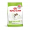 АКЦИЯ Royal Canin X-Small Adult сухой корм для собак мелких пород 1,2 кг + 300 г