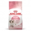 АКЦИЯ Royal Canin Kitten сухой корм для котят 2 кг + 12 паучей + схема корму