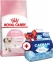 АКЦИЯ Royal Canin Kitten сухой корм для котят 4 кг + наполнитель Catsan 5 л