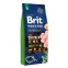 Brit XL Premium Adult